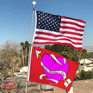 happy valentine's day flag, usa flag, flagpole, solar beacon light, blue skies, palm trees